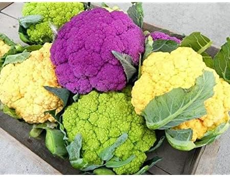 Mixed Cauliflower Seeds for Planting - 100 pcs